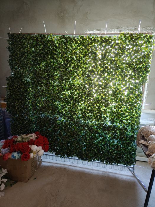 Сатылады срочно 2 түрі бар