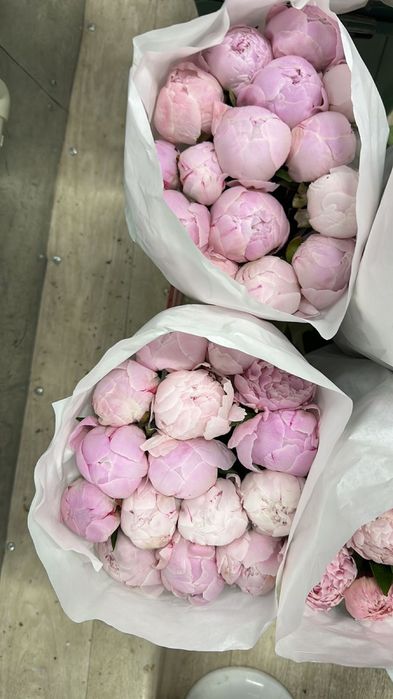 Пионы букеты цветы оптом и в розницу