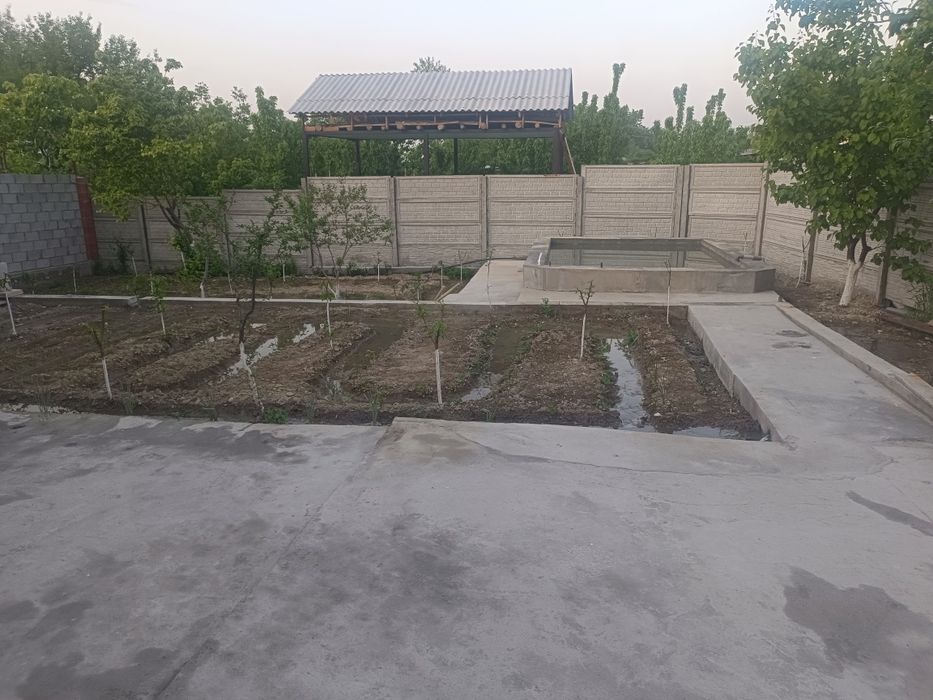 Дала ховли сотилади