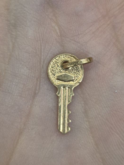 Pandantiv cheita din aur 18 k