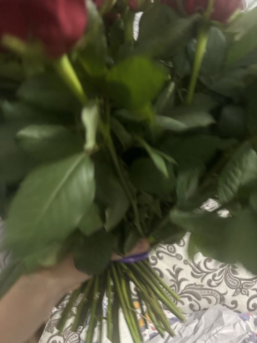 Продам свежие розы