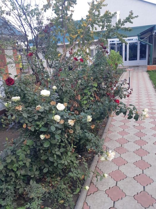 Продам дачу с/о Вагонник