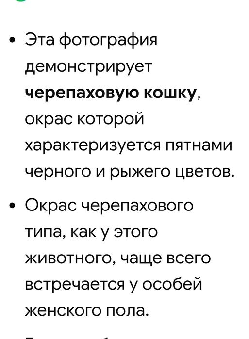 Отдам в добрые, любящие руки.