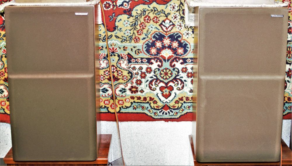 Акустические системы Technics SB-X5