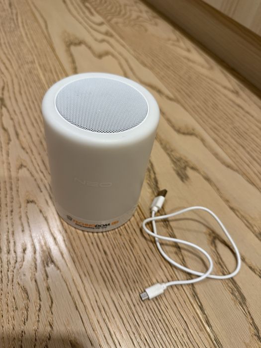 2в1 голонка, светильник