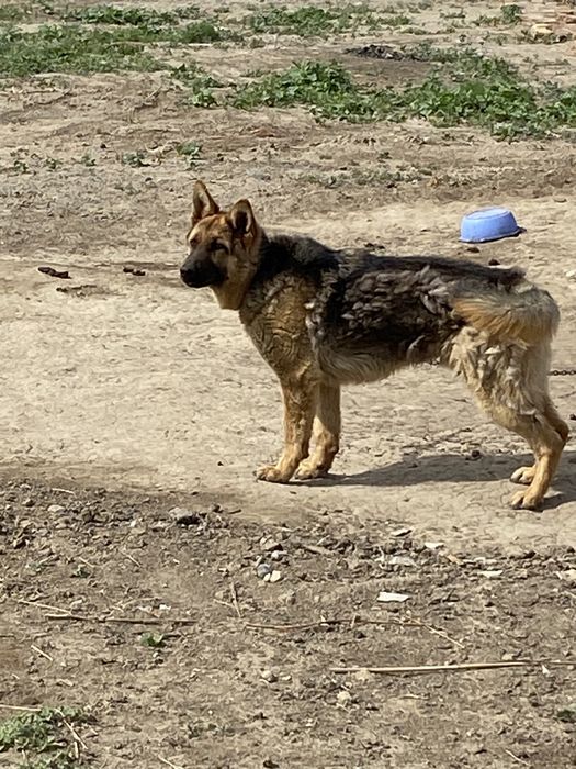 £$€$€£=+$#%%$€£$