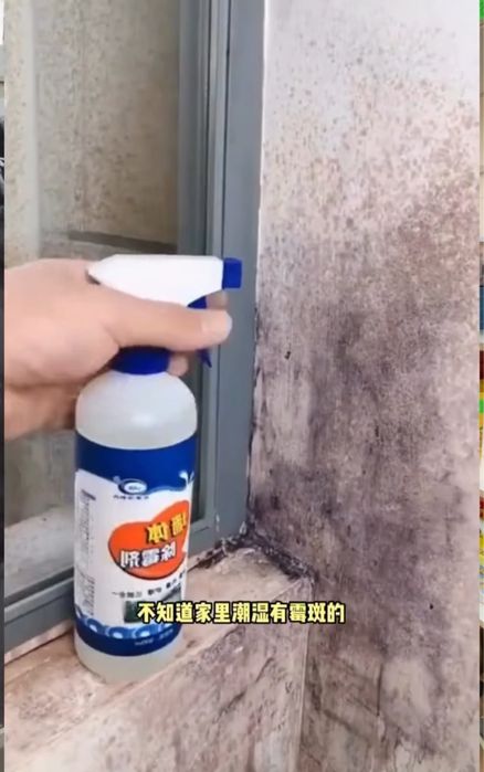 Спрей (от плесень ) көгергенге