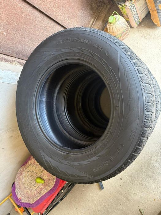 всесезонные шины Nokian