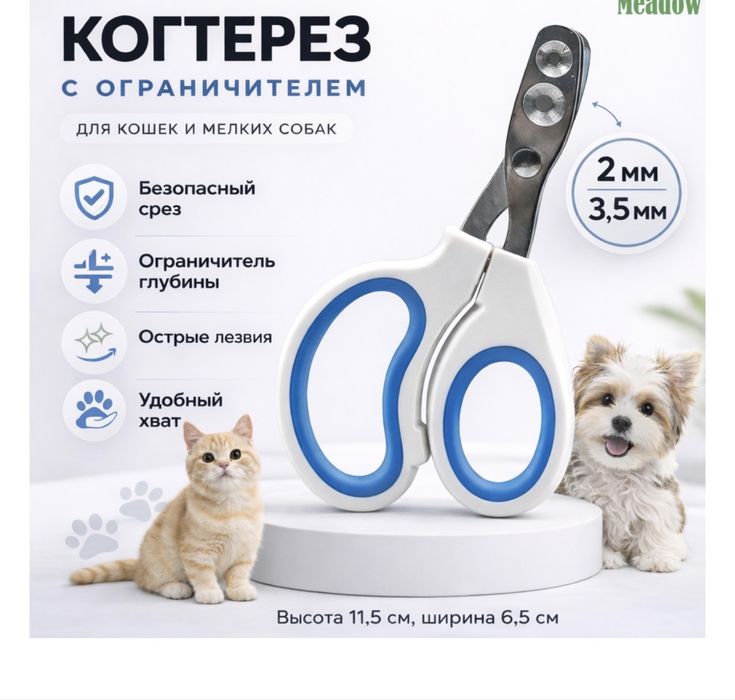 Котенок Вислоухая девочка