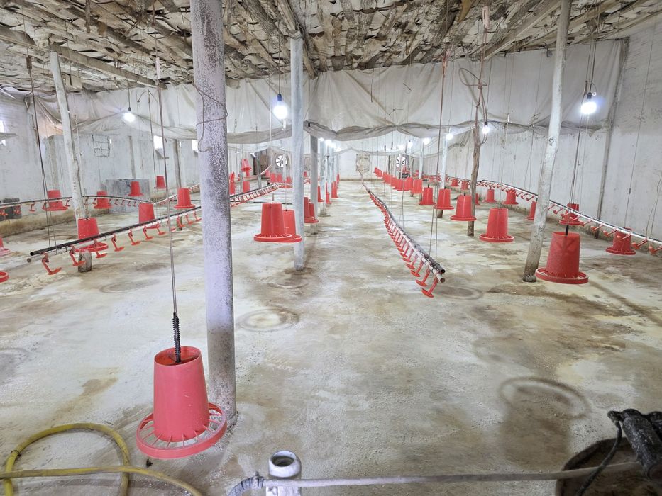 Карамол учун ферма   товук ферма  фабрика