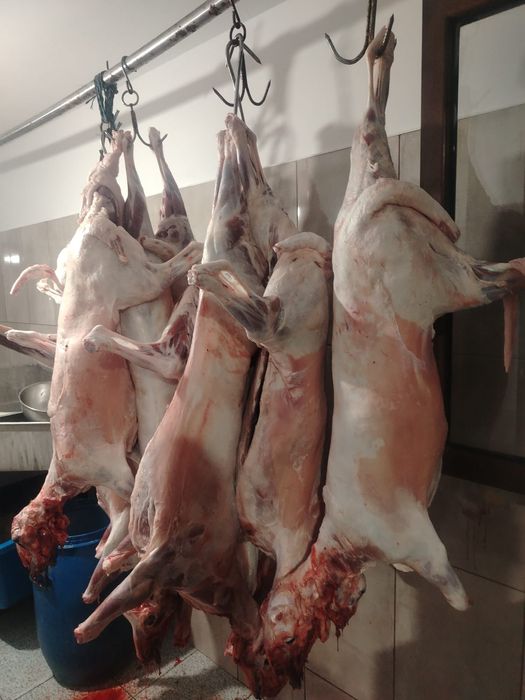 Miei de vanzare pentru paste