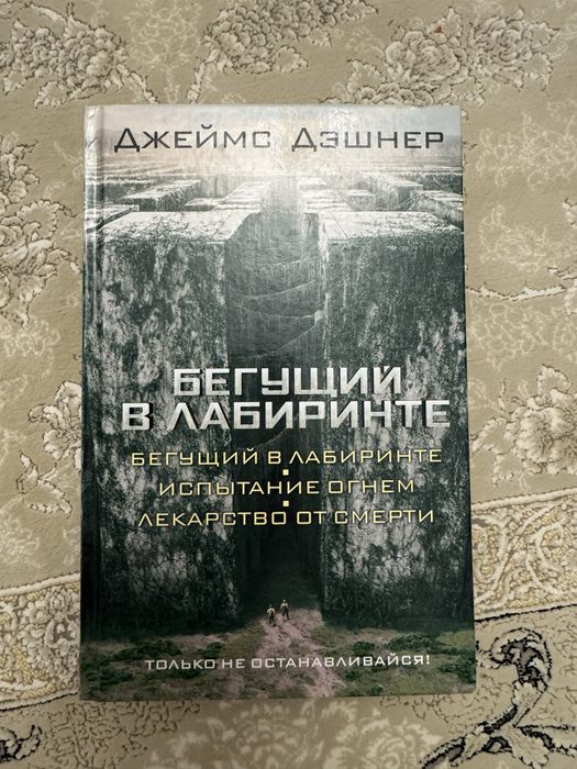 книга «Бегущий в лаберинте»