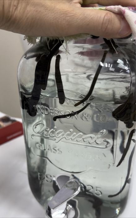 Пиявки 2000тг/шт Одноразовые