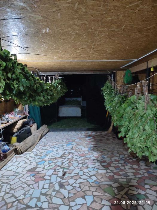 Банные веники, берёзовые