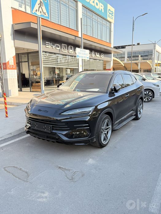 Byd chempion 150 km gibrit full