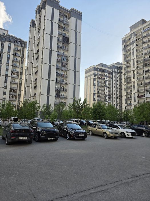 Motrid ijaraga beriladi