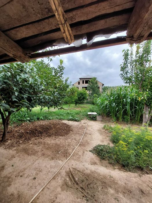 Катта Кани маххаласида xовли (хонадон) 10 сотих