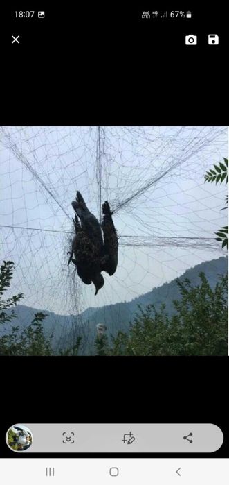 Plasa verticala anti pasari 3m x 6m