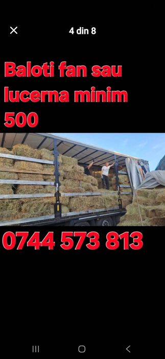 Baloti fan sau lucerna min.40 Rotunzi.500 drept.La TIR Ferma de dat pe servicii Capre Vaci Oi Porci