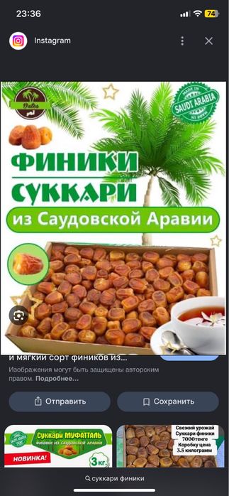 Sukhari Құрмасы Сауд арабиясынан
