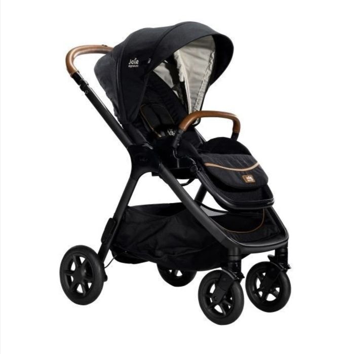 Set 2 in 1 Joie finiti signature si landou