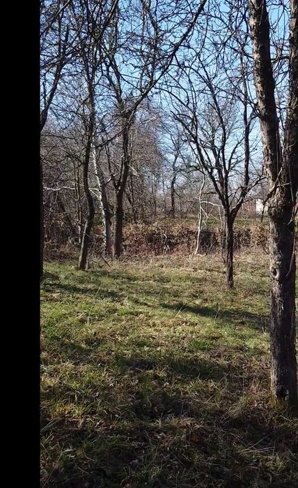 Teren intravilan 28 ari – zonă liniștită, aproape de pădure