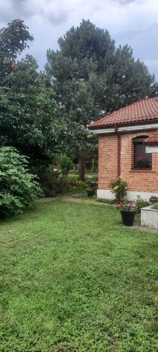Casa Darvari Tamadau Mare Calarasi