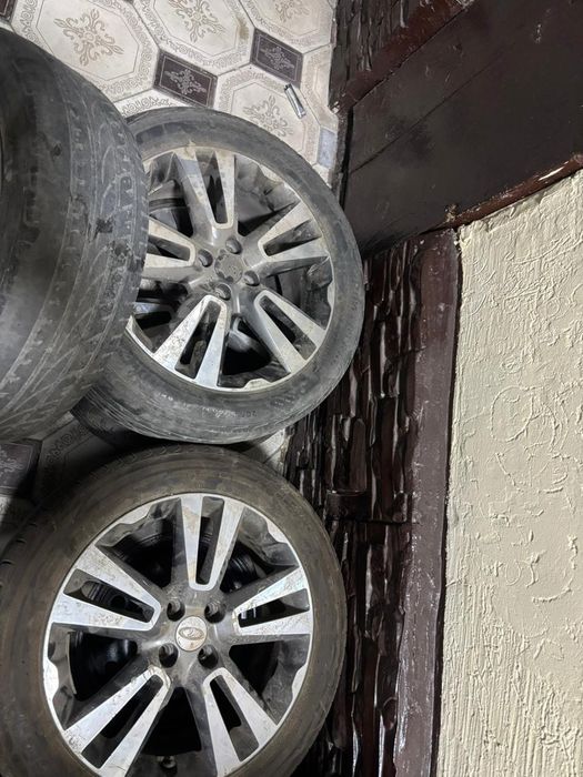 Веста Ларгуст диска