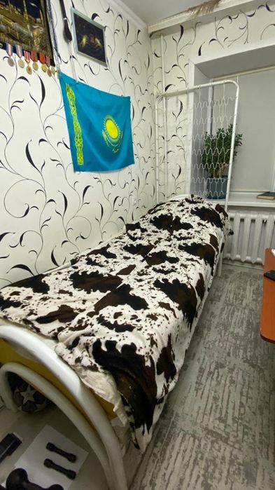 Кровать железный