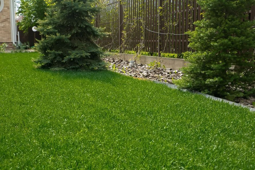 Спортивный газон в петропавловске