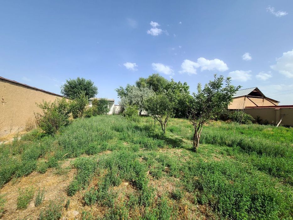 Томарка буш жой йер хисобида