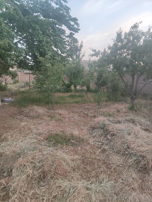 Quruq yer sotiladi uyii yarim qismi yoki 2sotik sotiladi