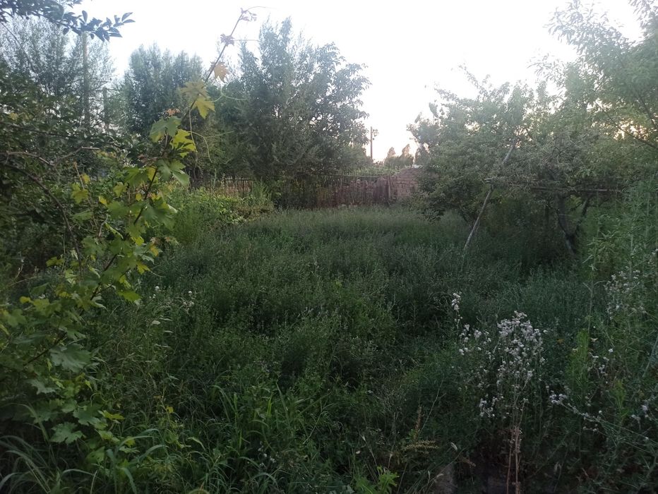 Uy 5 xona 2 ta korpus umumiy 10 xona 10 sotik tomorqa maydon