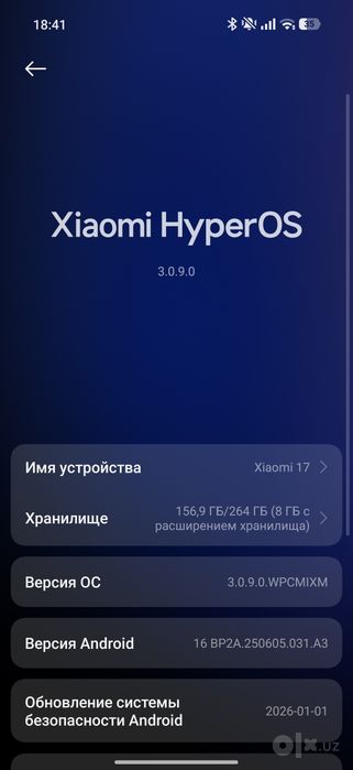 Xiaomi 17 12/256