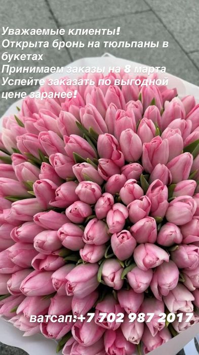 Тюльпаны оптом и в розницу!