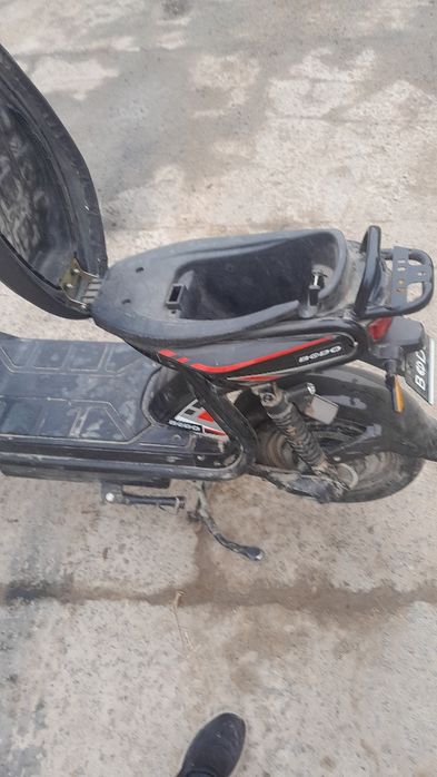 Yangi va arzon squter