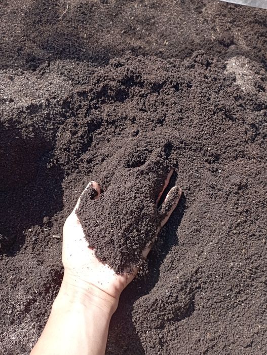 Kaliforniya qizil yomgʻir chuvalchangi va sifatli Biogumus sotiladi