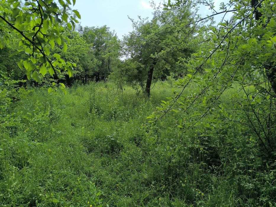 Namangan viloyati NANAYDA yer maydoni 7.5 sotih