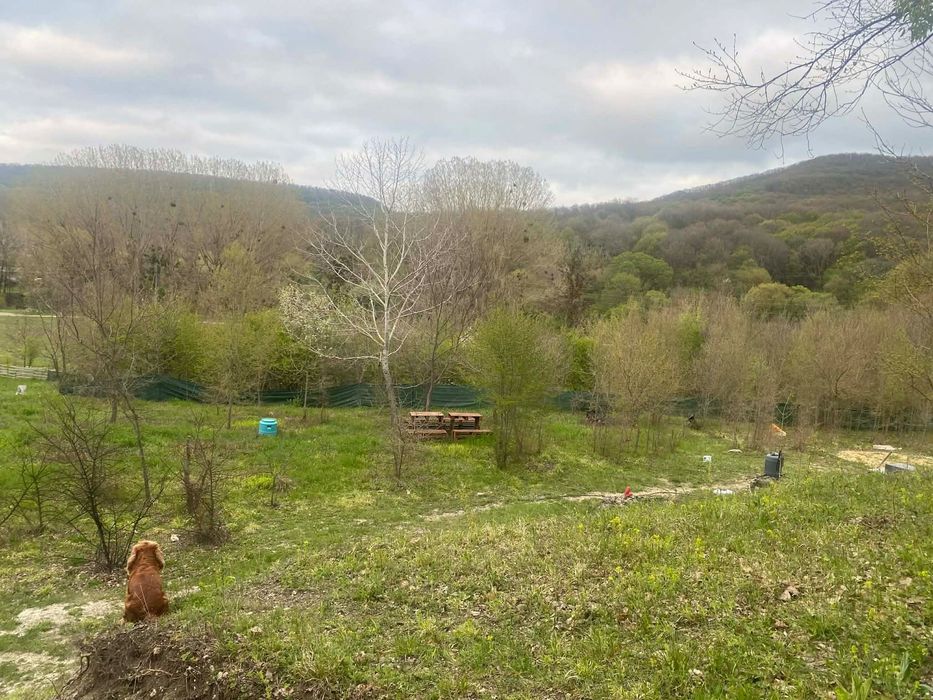 Продава се Парцел в с. Долище, Област Варна - 5000 кв.м за 4 €/кв.м - Снимка #16