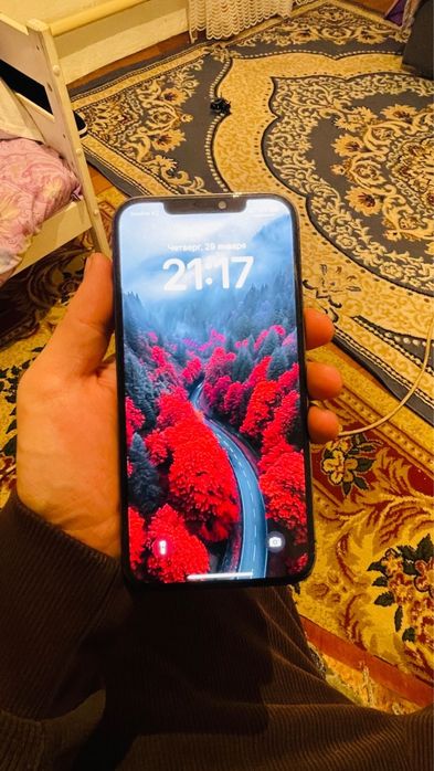 Айфон 12 про макс