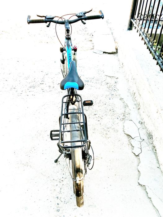 Daraxt kafolati bilan