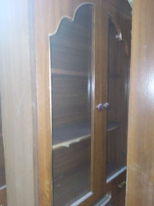 Вид хорошая каричновая