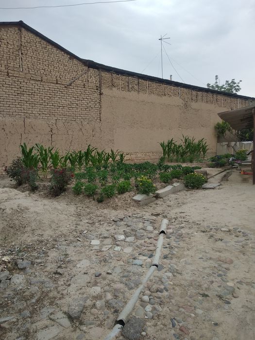 Назарбек Мевазор махалада уй сотилади 7 сотих 2та хона 55000y.e