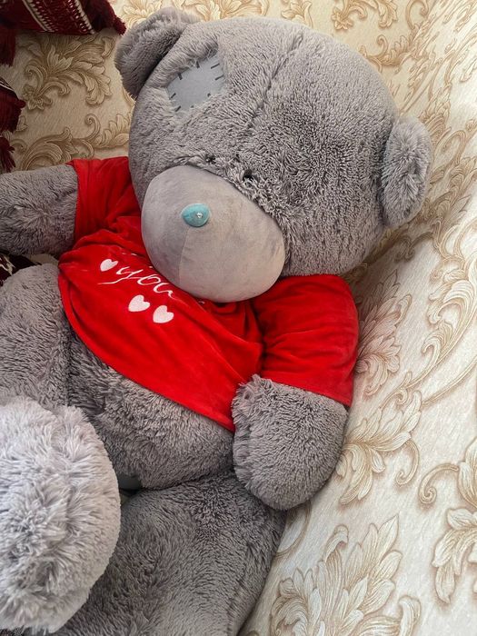 Tedii ayiqcha razmeri zōr