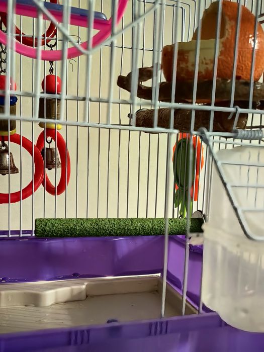 Клетка для попугая