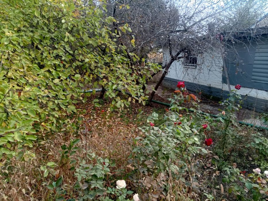 Продам дачный участок