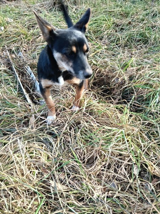 Малышка ищет любящую семью