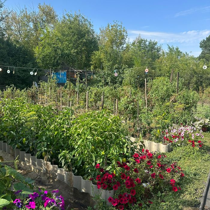 Продам дачу в городе Лисаковск