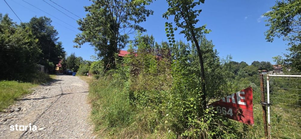Teren 4.519 mp intravilan de vanzare in Breaza