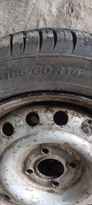 Жаздық доңғелек салылады